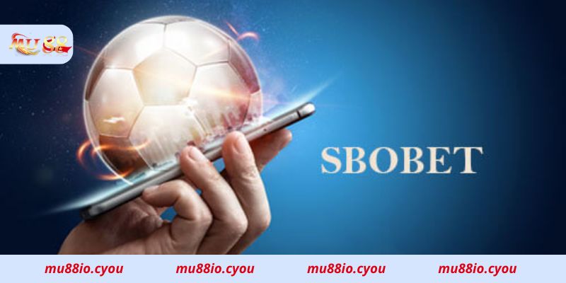 Lý do vì sao nên chọn Mu88 để tham gia đặt cược SBOBET